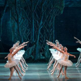Concluye temporada de El lago de los cisnes en el Gran Teatro de La Habana «Alicia Alonso»